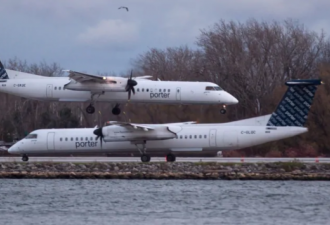 多伦多和Muskoka湖开通季节性航班 20分钟直达