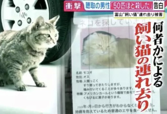 开水烫猫！日本虐猫狂魔一年半杀喵50只