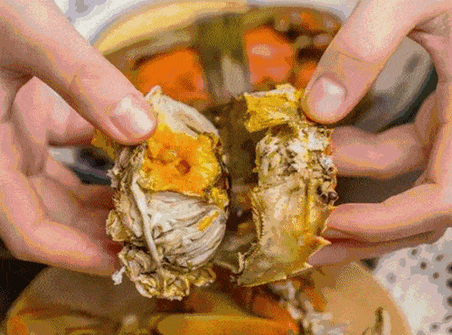 比利时大闸蟹泛滥欲运回中国 网友：料酒已备好