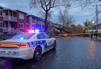 强风来临，魁北克省已有20多万家庭断电