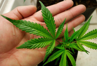 美加正在对华输入新威胁，他们把这个运到中国
