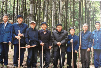 云南8位老人造林13万亩 将申报省级森林公园