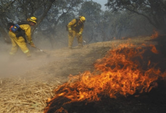 加州史无前例的大火 既是天灾，也是人祸