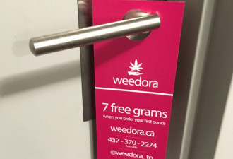 大麻分销商广告直接贴到家门口 多伦多家长怒了