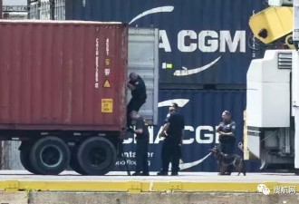 MSC这艘集装箱船查出16吨毒品，多名船员被捕