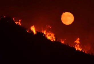 美国洛杉矶高温飚至40度 打破当地百年纪录