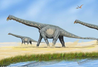 恐龙粪便滋养大地大型动物越多植物生长越盛