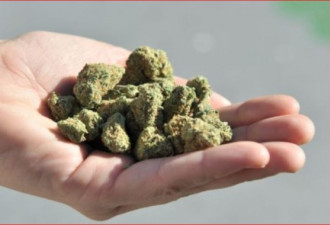 卑诗省吸食大麻人数全国最高