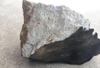 “香格里拉陨石”悬赏结束 有人用买石头来领赏