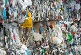 垃圾接连被退 加拿大被评为垃圾过剩高风险国家