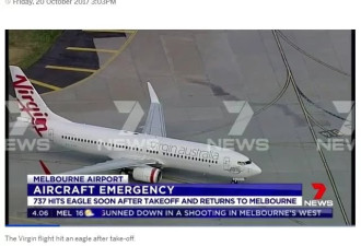 闻所未闻！澳洲客机在空中撞上了兔子