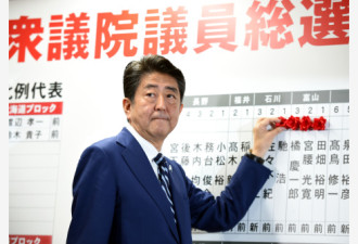 日本执政联盟在众议院选举中获胜