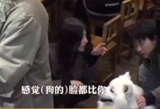 美女搭讪郭麒麟，称其脸比狗小，遭郭麒麟反击
