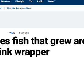 加拿大人最近钓到一条鱼，全球媒体都在疯转