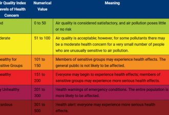 PM2.5超危险值3倍 印高官：首都成毒气室