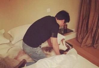 王思聪刚在日本买只猫，原来长这样太可爱了