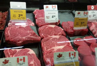加拿大猪肉问题原来是中国搞的鬼？调查进行中