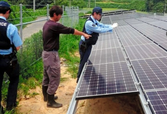 日本太阳能发电板接连遭殃 犯人竟是……