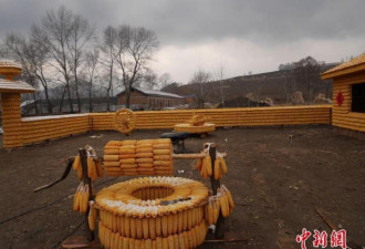 吉林农民用2万个玉米造出“黄金屋院”