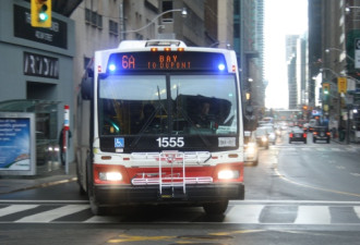 TTC公车天天报错字 网友：笑死我了