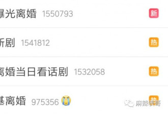 宋慧乔被骂，宋仲基挖出做朴槿惠小奶狗和出轨