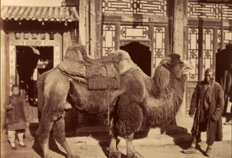 1879年帝都老照片: 道路坑洼 御河就是小水沟！