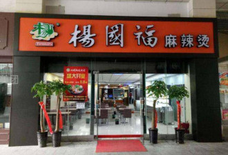 你吃的麻辣烫原来是一家！张亮是杨国福的外甥