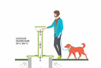 多伦多公寓新建狗粪处理系统 使其转化为能源