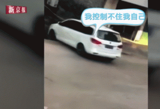 噗哈哈！2019年的爆笑新闻已经开始年中冲刺了
