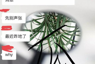 四年婚姻终也画上句号？黄晓明Baby又被曝离婚