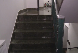 多伦多西区污水倒灌 公寓楼居民连夜紧急疏散