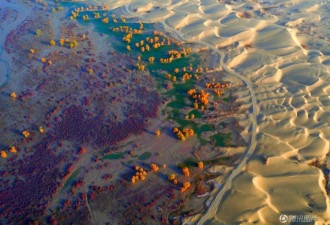 新疆塔里木“极旱荒漠”变五彩斑斓美景