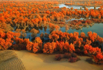 新疆塔里木“极旱荒漠”变五彩斑斓美景