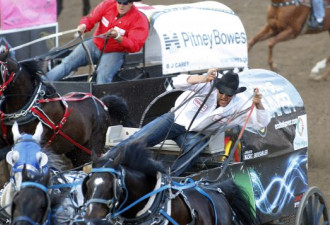 卡尔加里牛仔节：意外造成赛马死亡责任人被罚