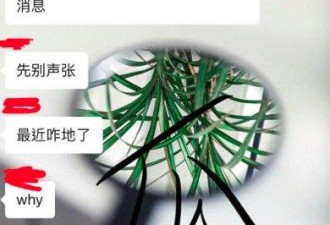黄晓明Angelababy官宣离婚？女方回应：太假