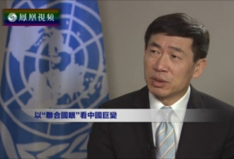 中国籍官员徐浩良任联合国开发计划署政策局长