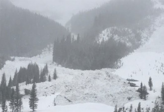 冬天到，雪来临，阿省告诫滑雪者小心雪崩