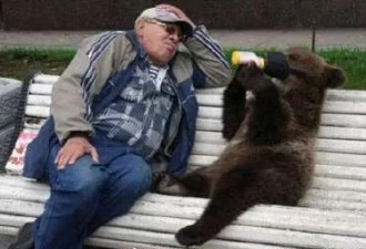 俄罗斯立法禁止家养熊狮子网友: 还有人养这个?