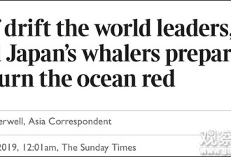日本“退群”重启商业捕鲸 完全是民族主义表现