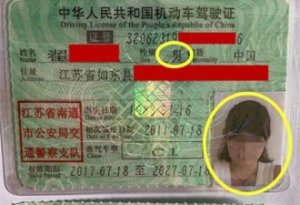 女子持假驾照被查还辩解：花1000多买的,保真