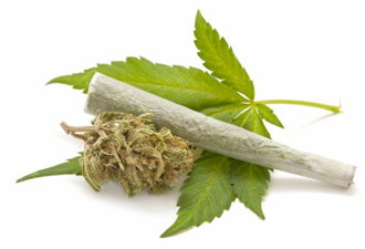 联邦拟征大麻消费税每克1元