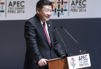 习近平将赴越出席APEC峰会 并访问越南,老挝