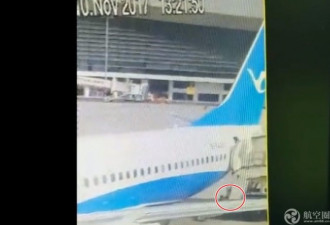 空姐从波音737客机上坠落 厦航回应