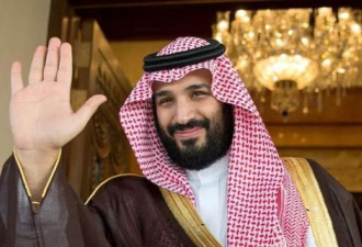 沙特被捕众王子：一个巨有钱，一个握重兵