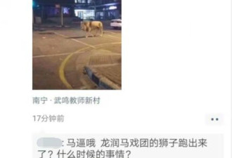 小区有狮子跑出来？有关部门已核实，真相来了