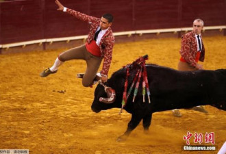 西班牙斗牛节，3名观众被牛顶伤 1人伤势严重