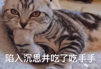 女星被假富豪骗婚？败光黎明7个亿后，嫁破产户