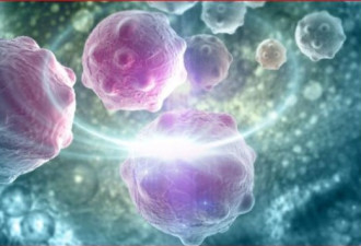 不可思议！注射死亡细胞能对抗癌症