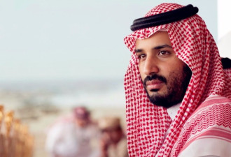 沙特王储穆罕默德：刮起的不仅仅是反腐风暴