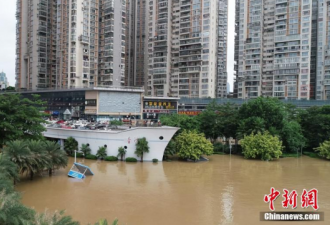 广西：洪峰过境 街道变成了“河道”